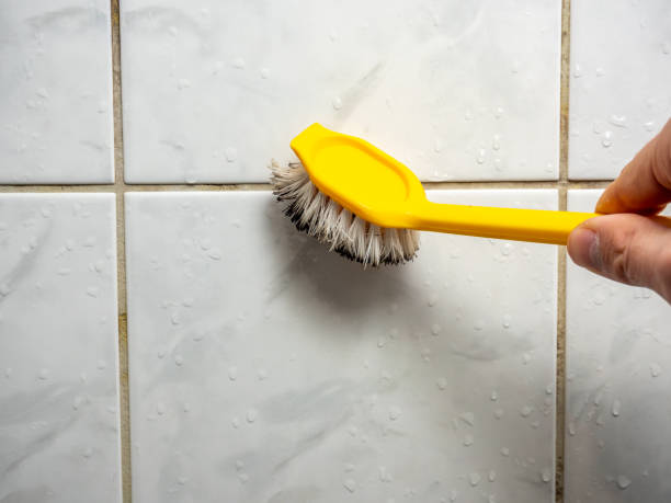 Best Certified Mold Removal  in Steep Falls, ME